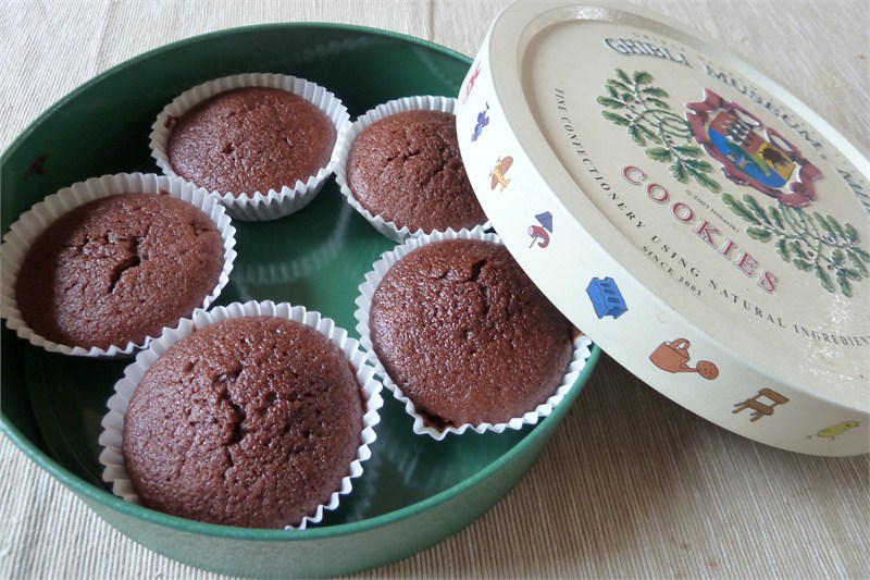 Low Fat Chocolate Cupcakes
